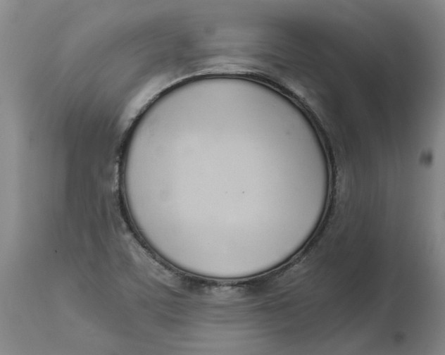 X0000113171459200909251406