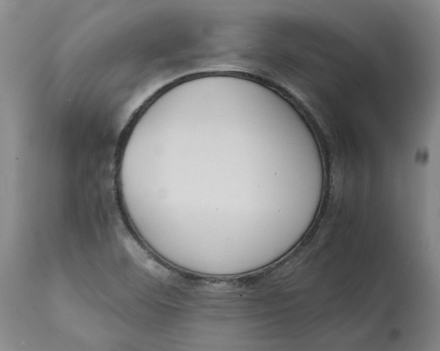 X0000113171460200909251406