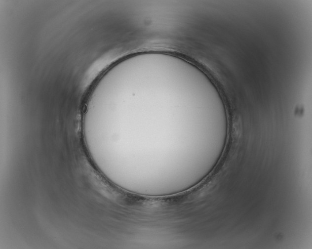 X0000113171461200909251406