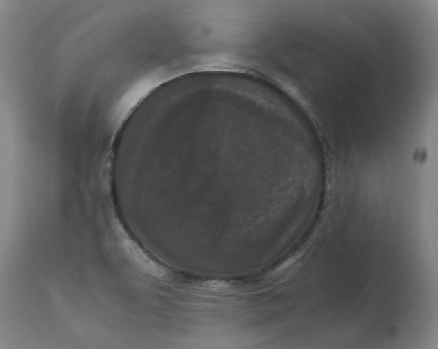 X0000113171463200909251406