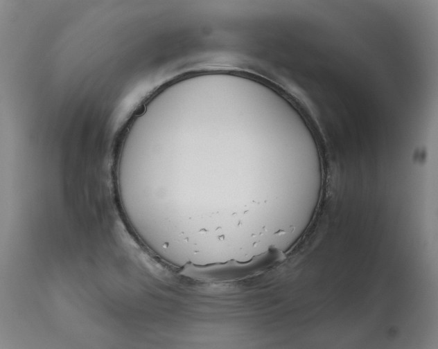 X0000113171464200909251406