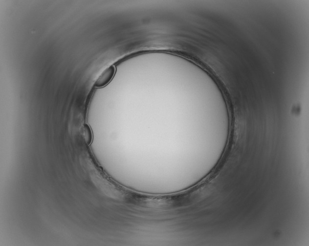 X0000113171465200909251406