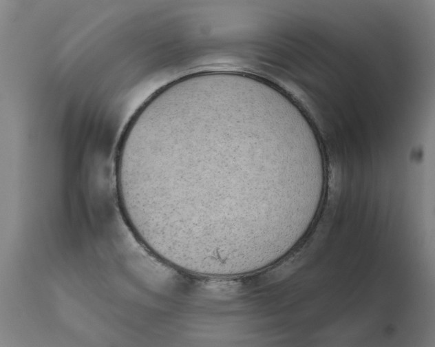 X0000113171466200909251406