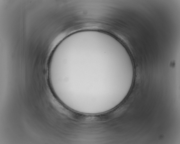 X0000113171467200909251406