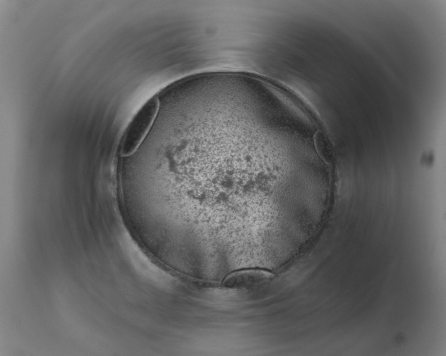 X0000113171468200909251406