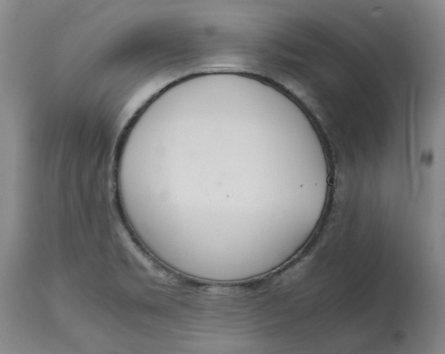 X0000113171469200909251406