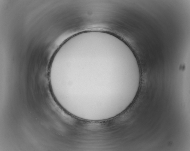 X0000113171470200909251406