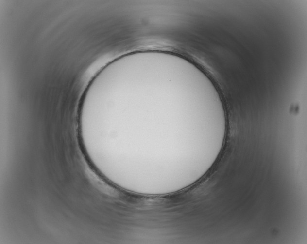 X0000113171471200909251406