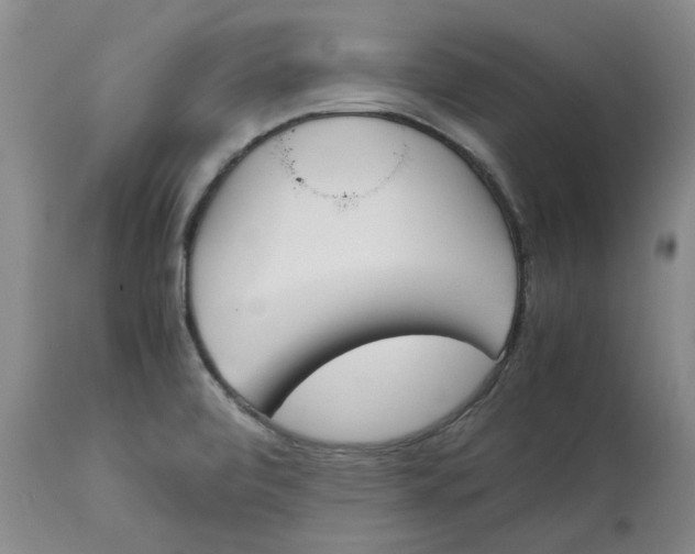 X0000113171472200909251406