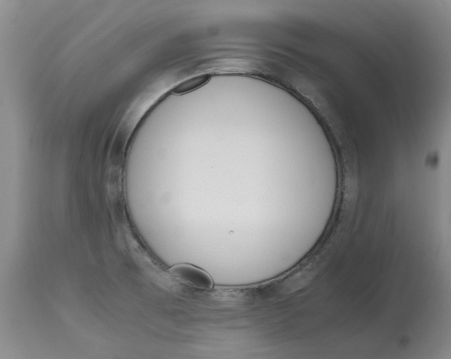 X0000113171473200909251406