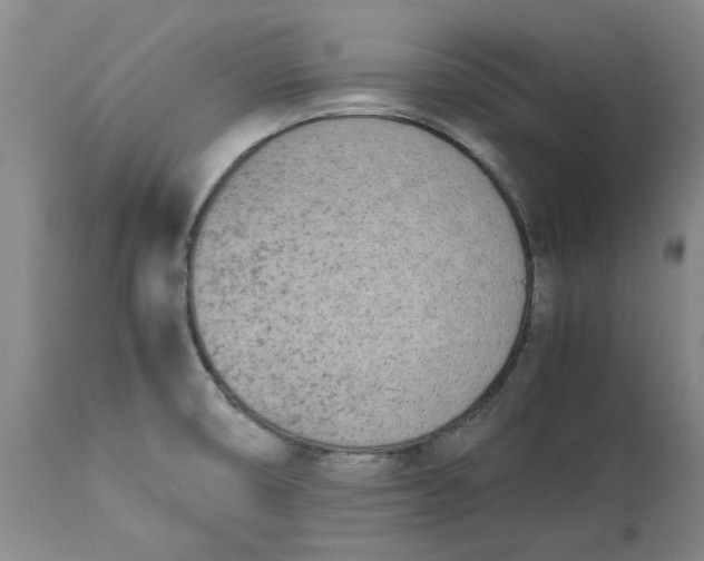 X0000113171474200909251406