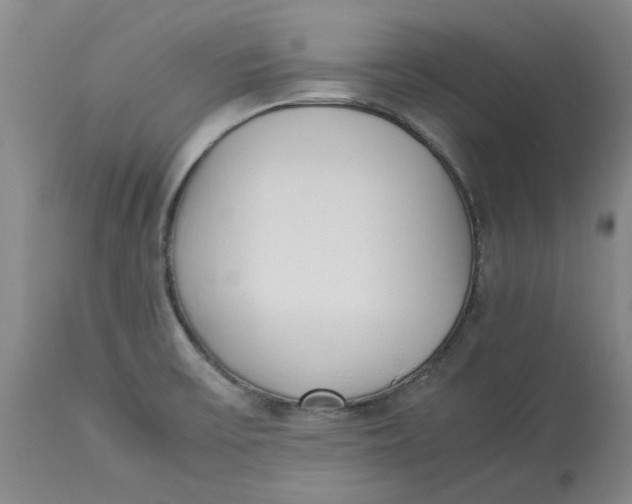 X0000113171475200909251406