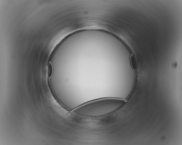 X0000113171476200909251406