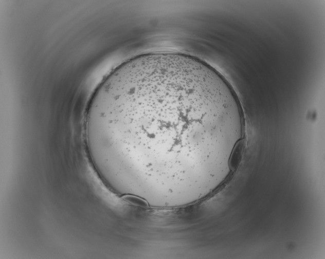 X0000113171477200909251406