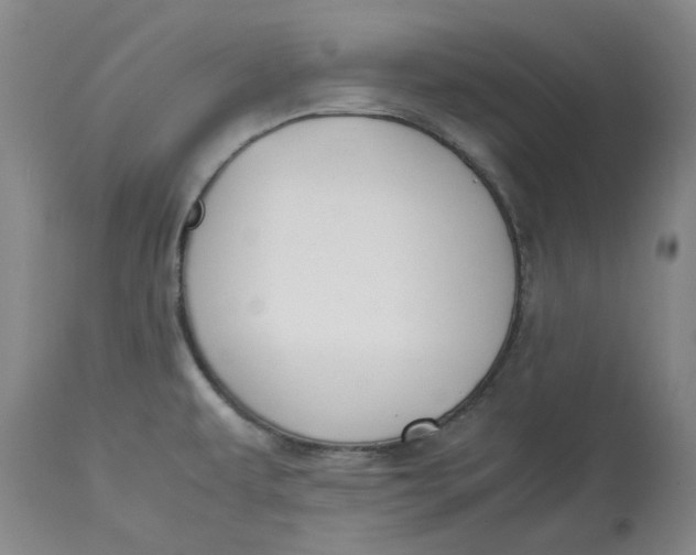 X0000113171479200909251406