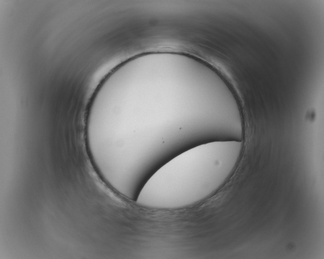 X0000113171480200909251406