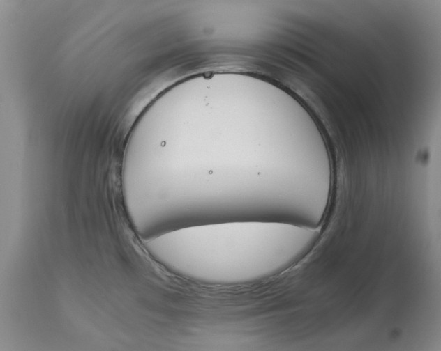 X0000113171481200909251406