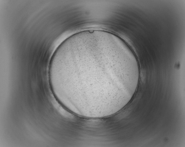 X0000113171482200909251405