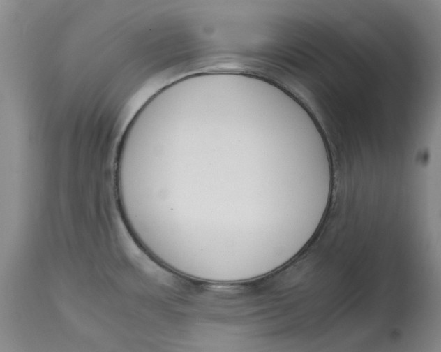 X0000113171483200909251405