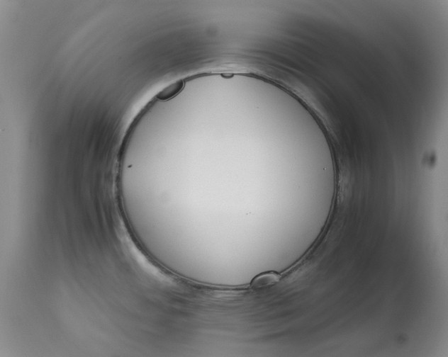 X0000113171484200909251405