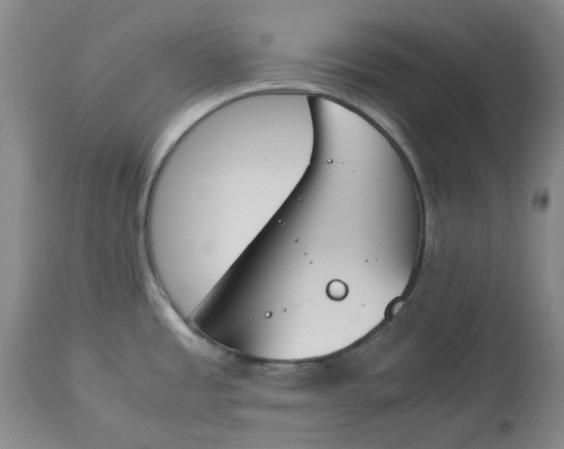 X0000113171485200909251405