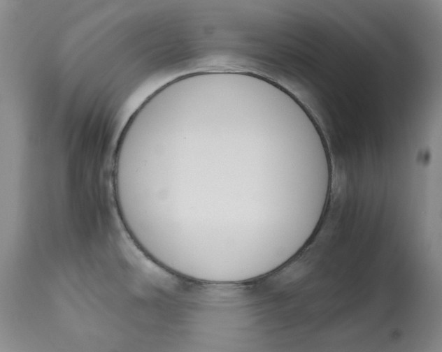 X0000113171486200909251405