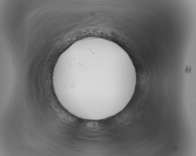 X0000113171489200909251404