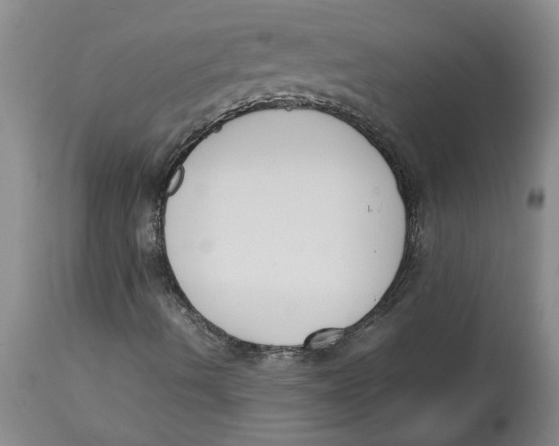 X0000113171490200909251404