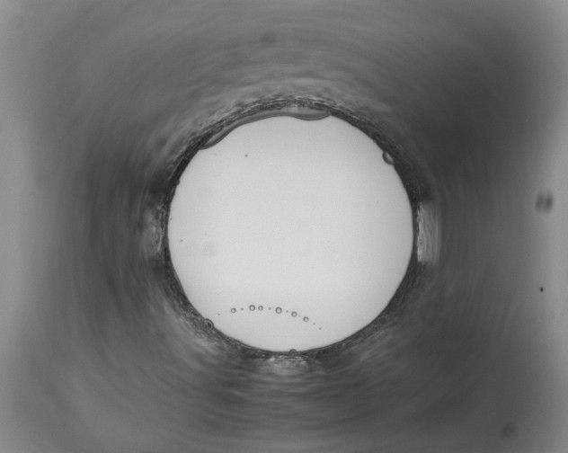 X0000113171491200909251404