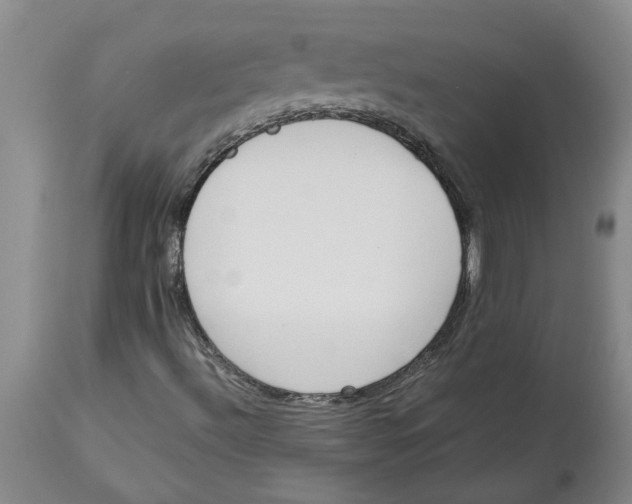 X0000113171492200909251404