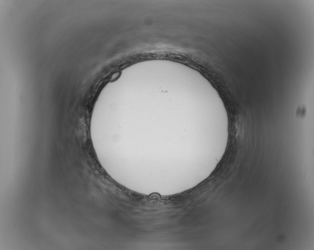 X0000113171493200909251404