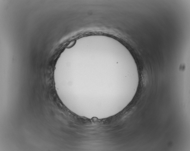 X0000113171494200909251404