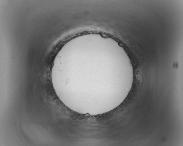 X0000113171495200909251404