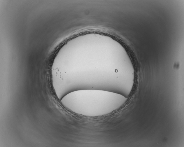 X0000113171496200909251404