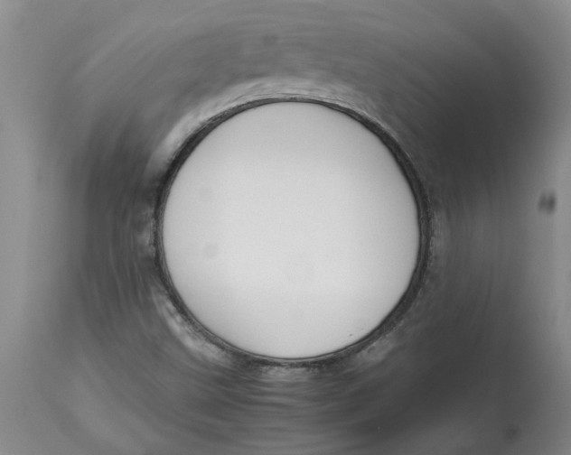 X0000113171499200909251404