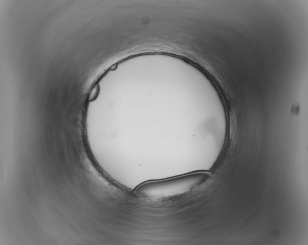 X0000113171500200909251405