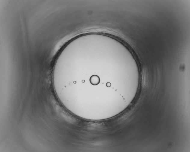 X0000113171501200909251405