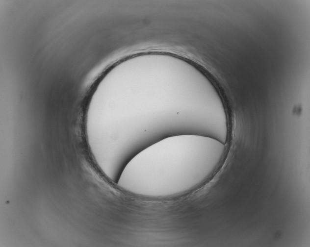 X0000113171502200909251405