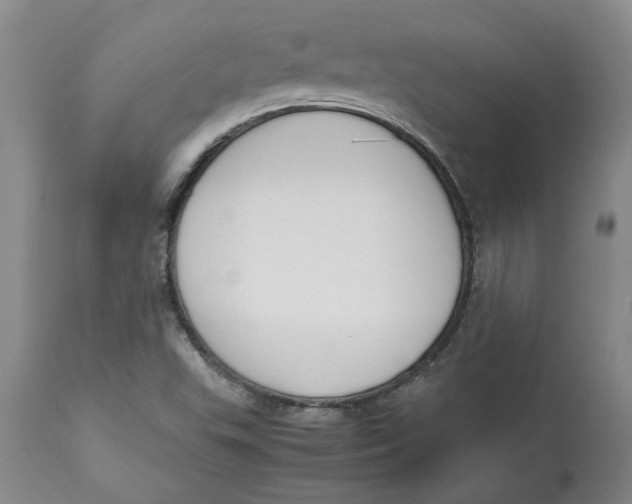 X0000113171503200909251405