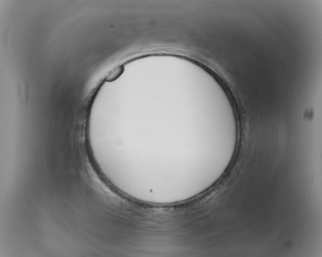 X0000113171504200909251405