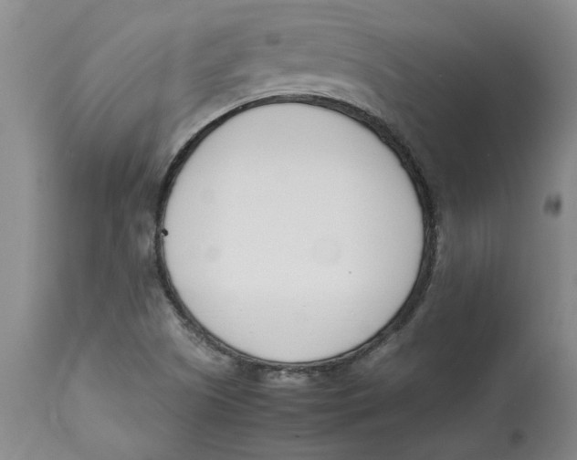 X0000113171505200909251405