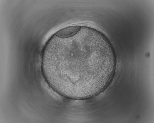 X0000113171506200909251405