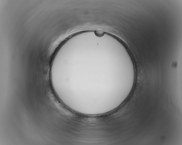 X0000113171507200909251405