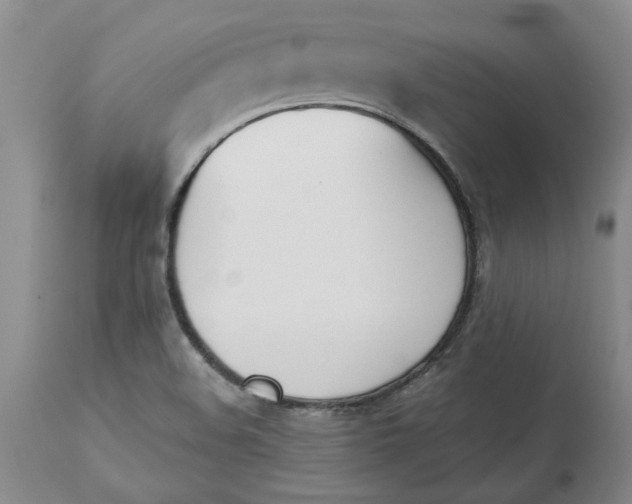 X0000113171508200909251405