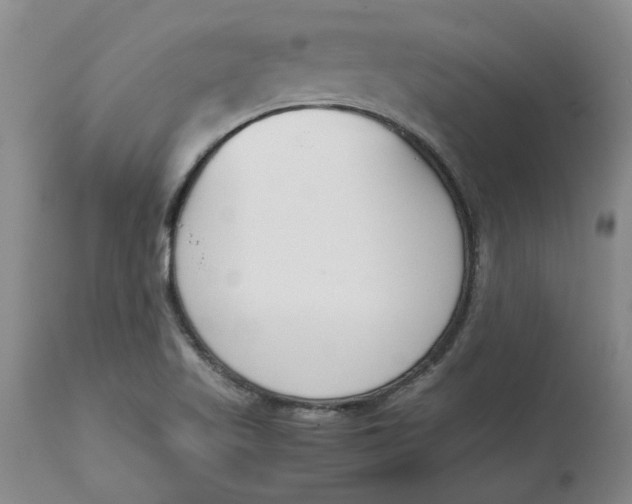 X0000113171509200909251405