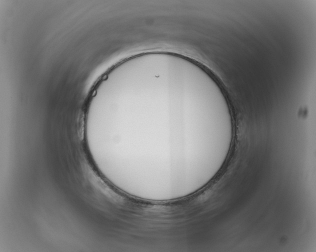 X0000113171510200909251405