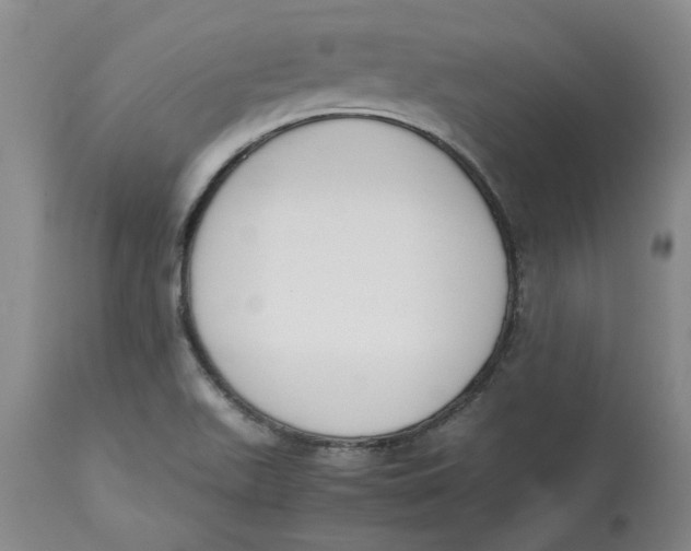 X0000113171511200909251405