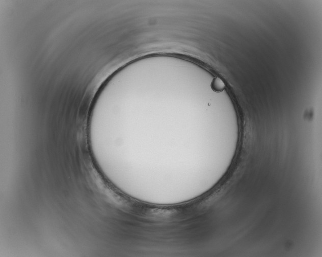 X0000113171513200909251405