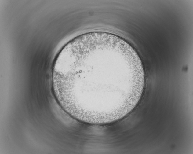 X0000113171514200909251405