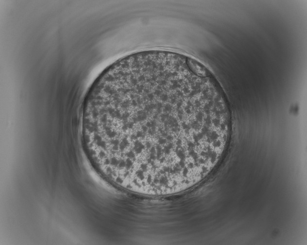 X0000113171515200909251405